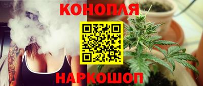 крисы Кунгур