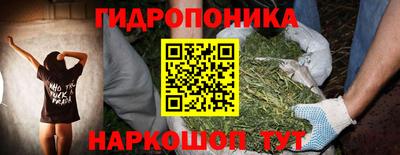 ПСИЛОЦИБИНОВЫЕ ГРИБЫ Лесосибирск
