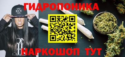 крисы Кунгур