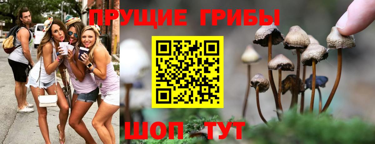 Семилуки  Псилоцибиновые грибы мухоморы  Галлюциногенные грибы прущие грибы  Вход с VPN 